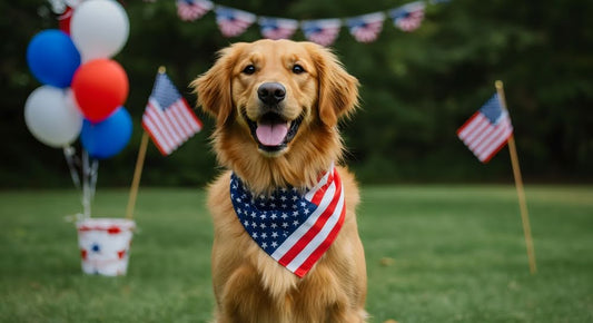 golden retriever with a US flag bandana and 4th of July decorations in the yard behind them