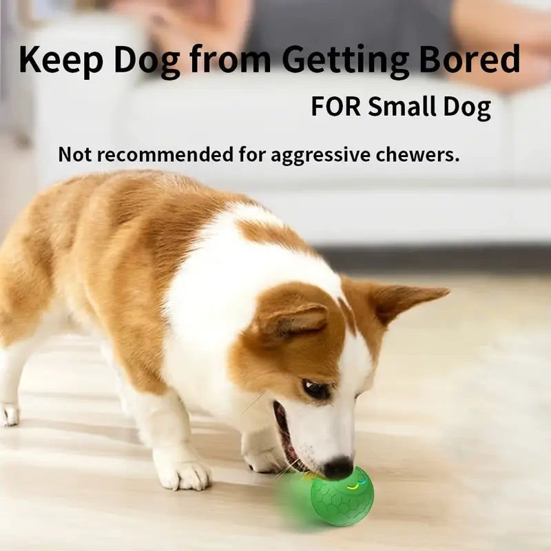 SMARTROLL AUTOMATIC DOG BALL