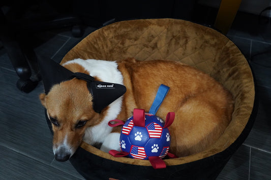 USA Soccer Ball & Pump