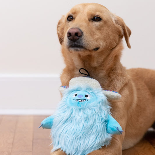 Lulubelles by Huxley and Kent Everest Shaggy Pow-er Yeti Extra Durable Plush Dog Toy