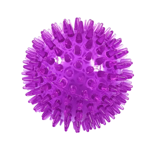 2.5 INCH SQUEAKY SPIKY DOG BALL