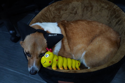 Durable Rubber Caterpillar Healthy Chew Toy