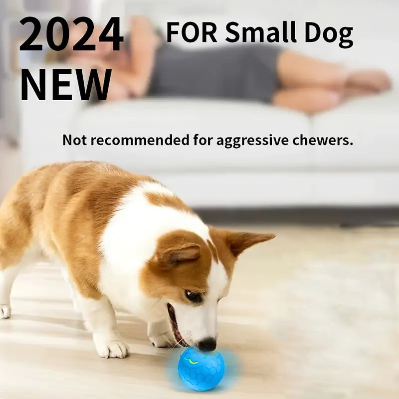 SMARTROLL AUTOMATIC DOG BALL
