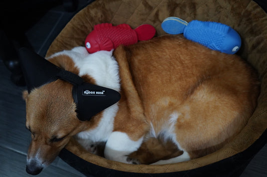 Red Squeaky Clownfish. Good For All Dogs Indestructible