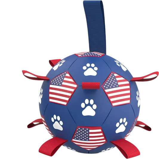 USA Soccer Ball & Pump