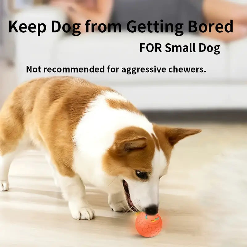 SMARTROLL AUTOMATIC DOG BALL