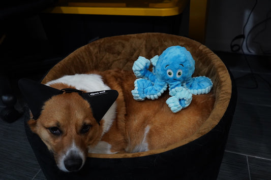 OCTOPUS PLUSH CHEW TOY WITH SQUEAKER