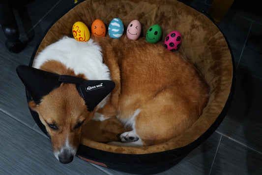 SCHITEC Dog Squeaky Toy – 6pcs Latex Bouncy Egg Balls with Squeaker