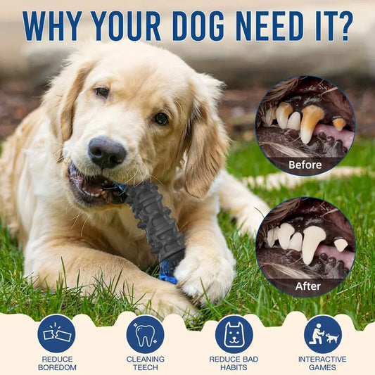 Black & Green Skull Bone Indestructible Chew Toy