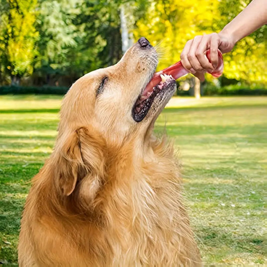 Beef Bone Realistic Anxiety Chew Toy