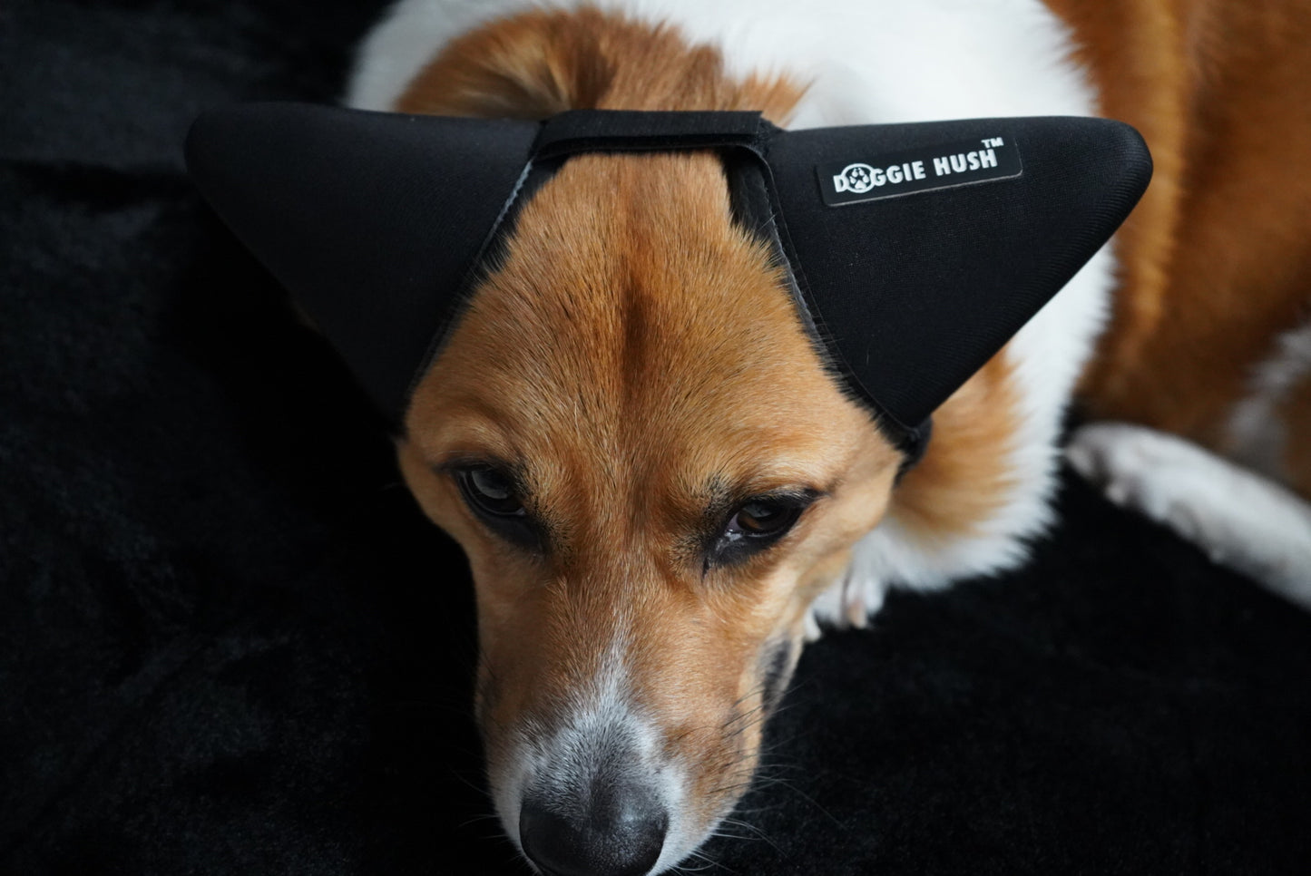 Doggie Hush™ Pro — Professional-Grade Noise-Cancelling Headphones/ Earmuffs for Dogs