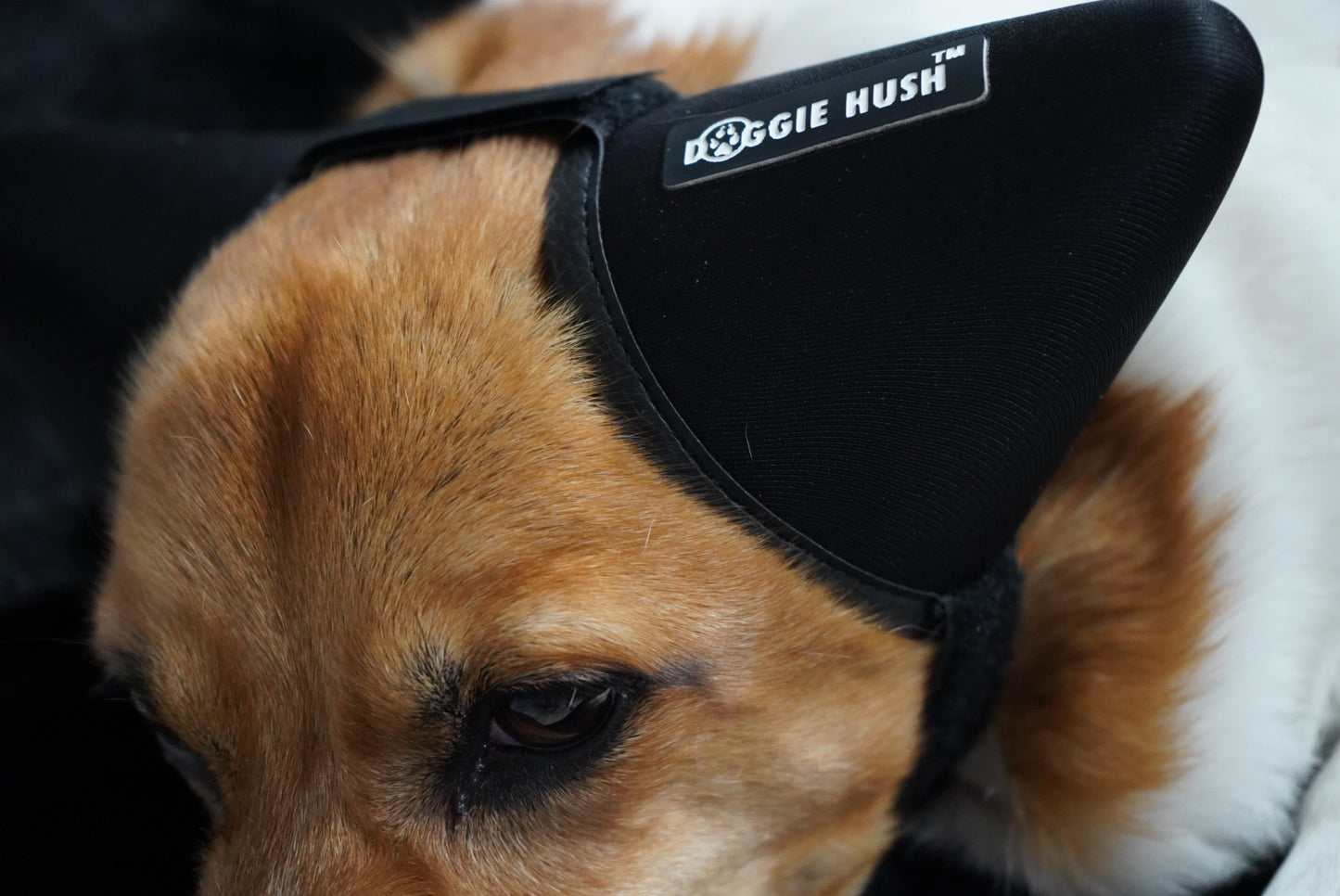 Doggie Hush™ Pro — Professional-Grade Noise-Cancelling Headphones/ Earmuffs for Dogs