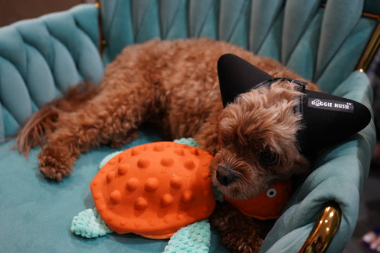 Multi Textured Turtle with Strong Shell Interactive Snuffle Pet Puzzle Toy Foldable Hide Food Turtle Squeaky Dog Toy