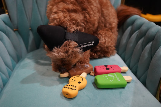 POPSICLE SQUEAKY DOG TOY (4 PC)