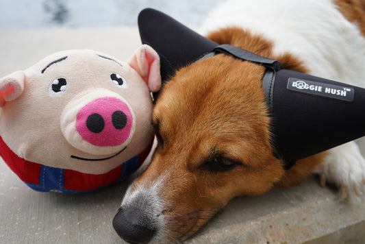 PETWIGGLES TALKING PIGGY TOY (RANDOM COLOR)