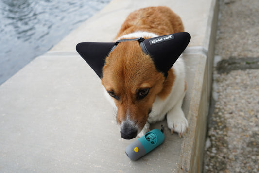 DOG LED BAG DISPENSER