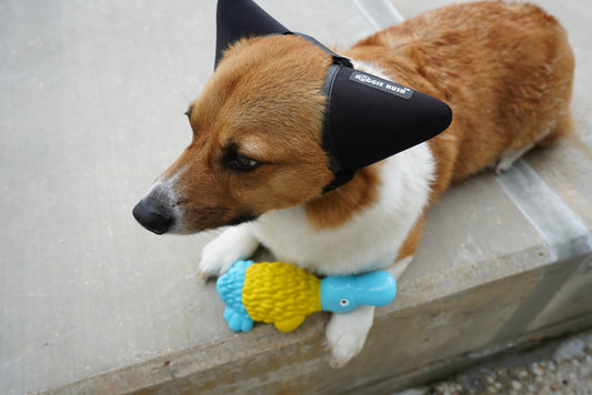 Durable Platypus Blue & Yellow Rubber Squeaker Healthy Chew Toy For Aggressive Chewers