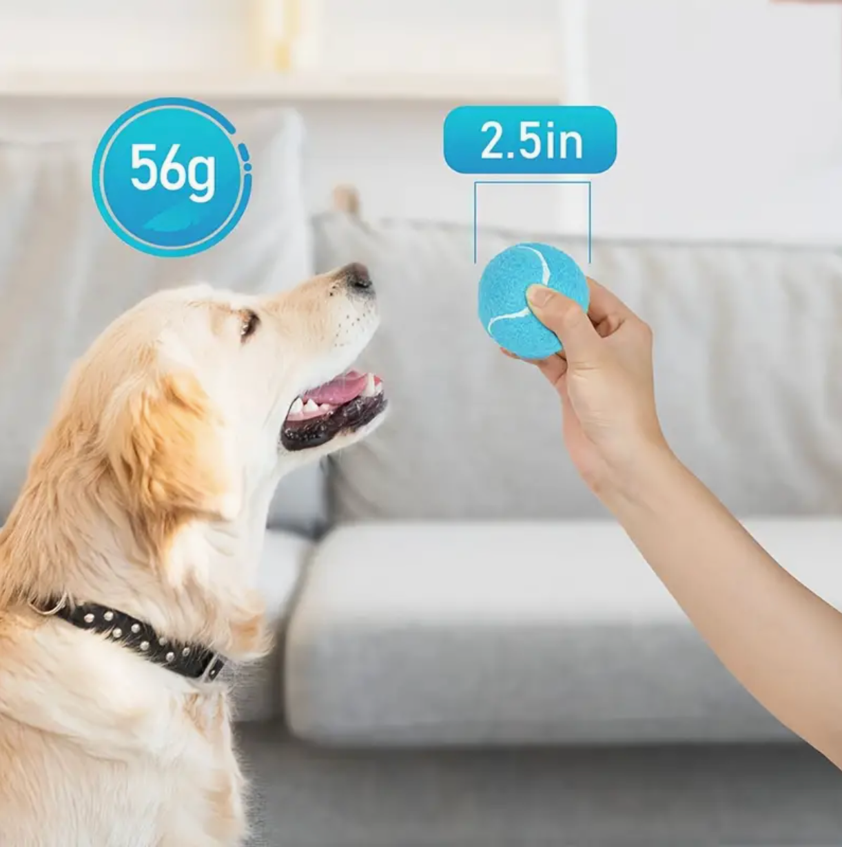 SQUEAKY TENNIS BALLS FOR HEAVY CHEWERS