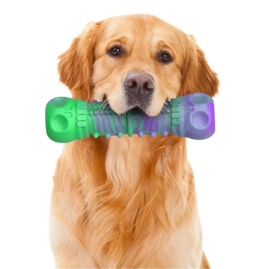 Purple & Green Skull Bone Indestructible Chew Toy
