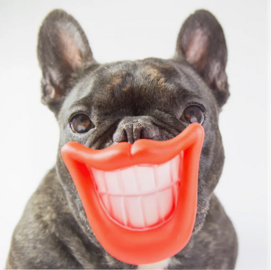 Smiling Mouth Dog Toy – Funny Chew Toy