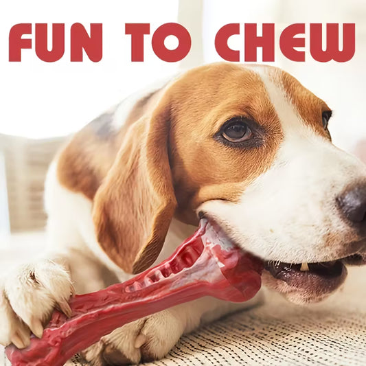 Red Bone Design Dog Chew Toy – Durable Rubber Bone for Aggressive Chewers