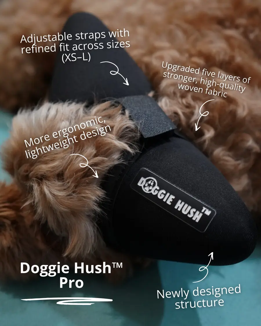 A calm dog wearing Doggie Hush noise-buffering headphones