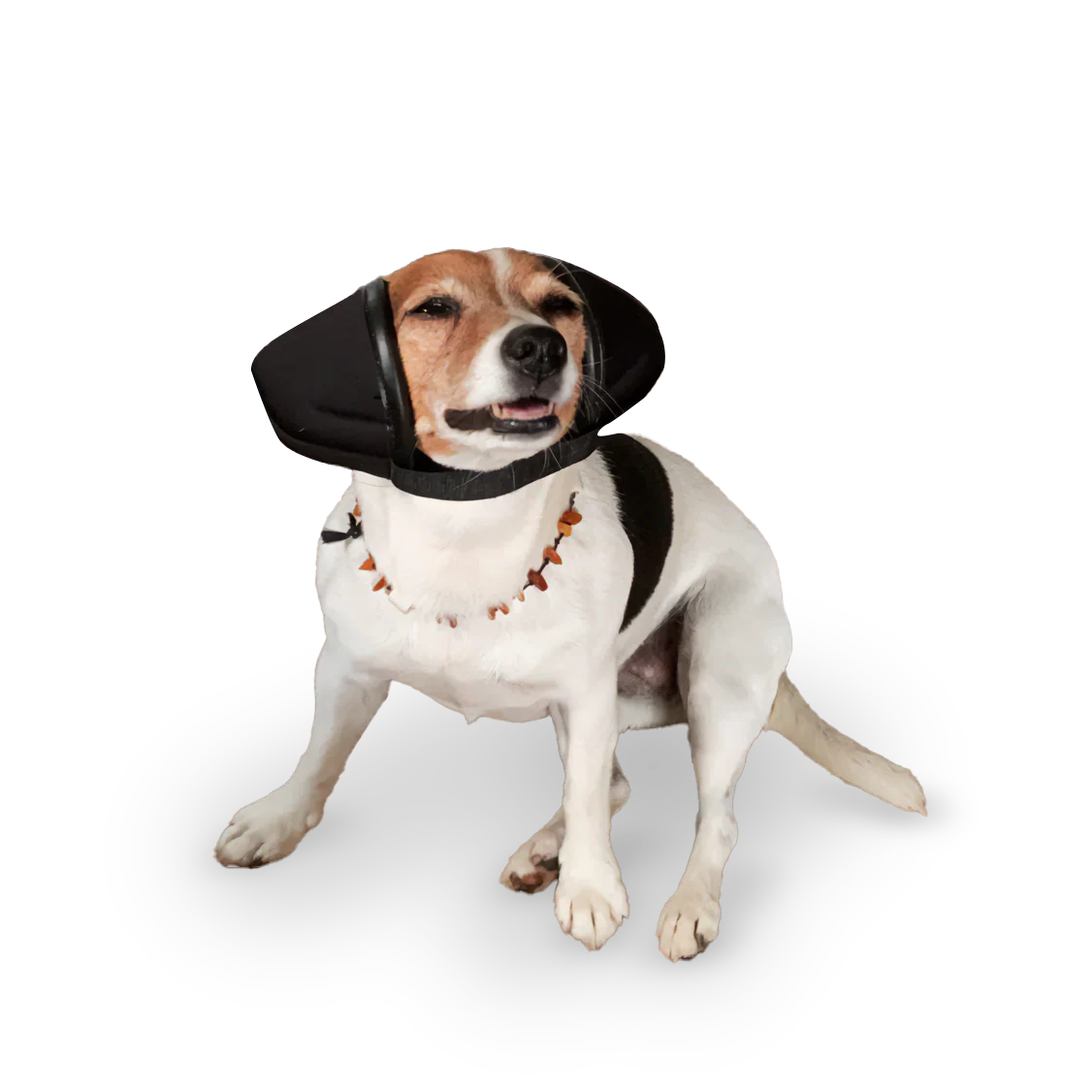 Medium Size Dog Toys