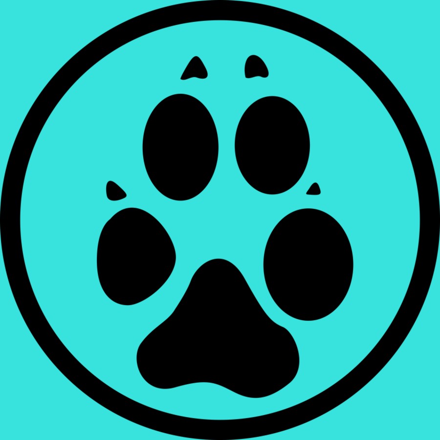 ESSENTIALS & ACCESSORIES