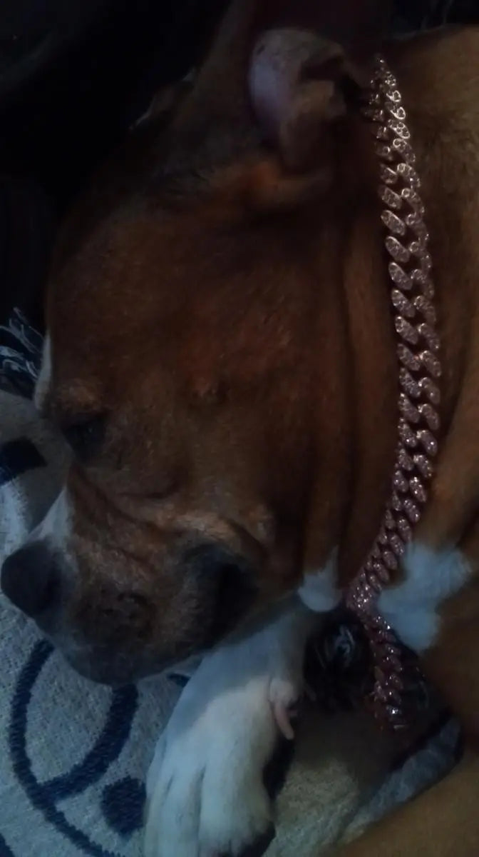 ROSE GOLD DIAMOND DOG CHAIN