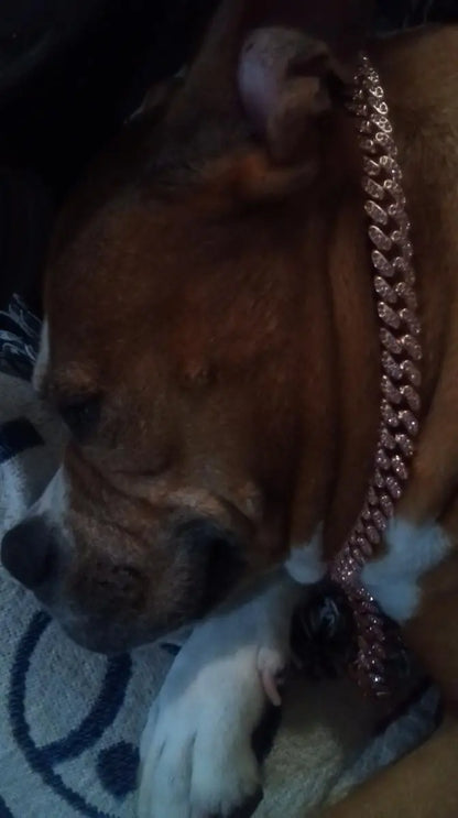 ROSE GOLD DIAMOND DOG CHAIN