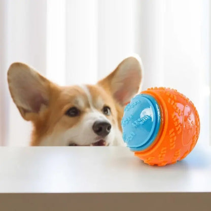 TEXTURED BALL DOG TOY
