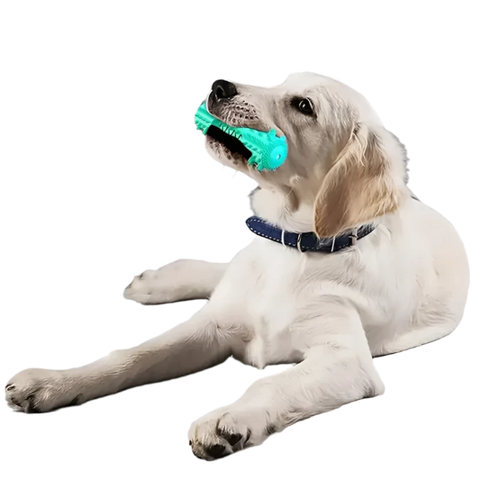DURABLE DOG TOOTHBRUSH