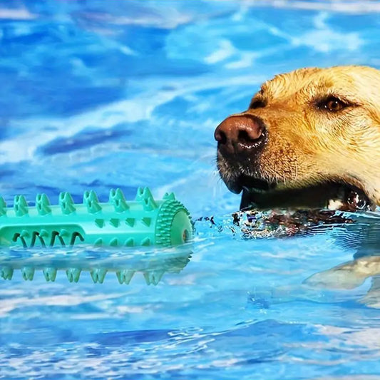 DURABLE DOG TOOTHBRUSH