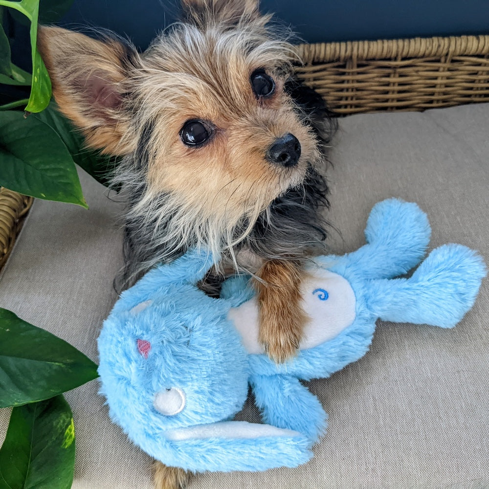 LULUBELLES BY HUXLEY AND KENT POW-ER SLAPPIES BETTY BUNNY DURABLE DOG TOY
