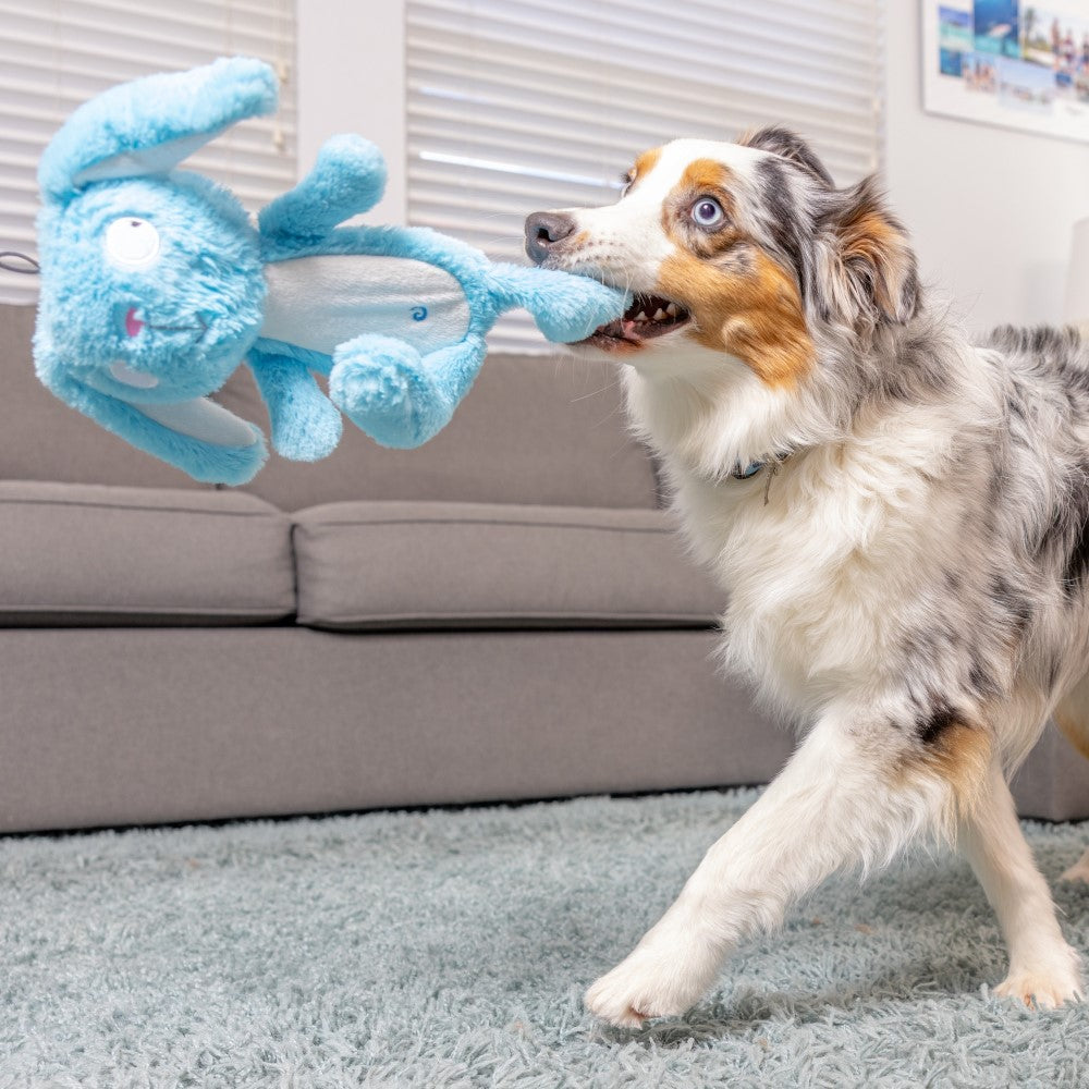 LULUBELLES BY HUXLEY AND KENT POW-ER SLAPPIES BETTY BUNNY DURABLE DOG TOY