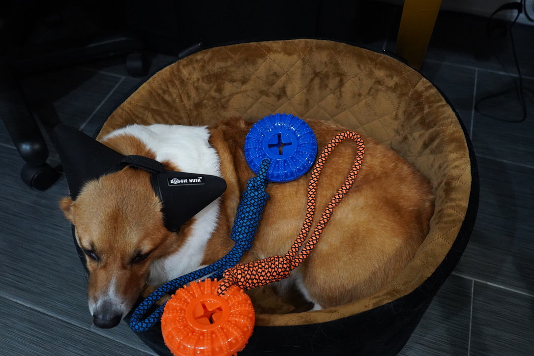 Durable Tire With Strong Rope Pull Dog Toy