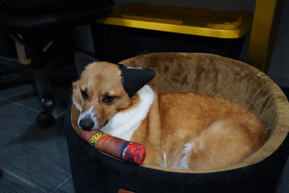 CIGAR SHAPED SQUEAKY DURABLE CHEW TOY