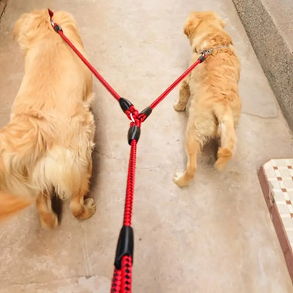 DOUBLE TANGLE-FREE DOG LEASH