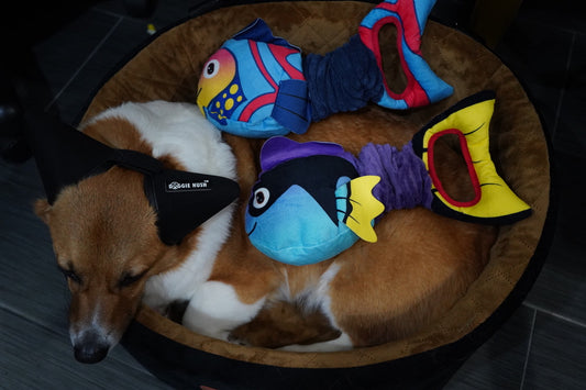Squeaky Soft Plush Clownfish Interactive Dog Chew Toy