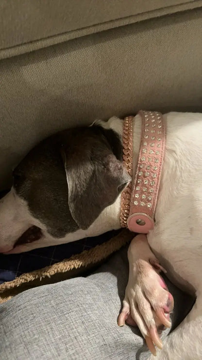 ROSE GOLD DIAMOND DOG CHAIN