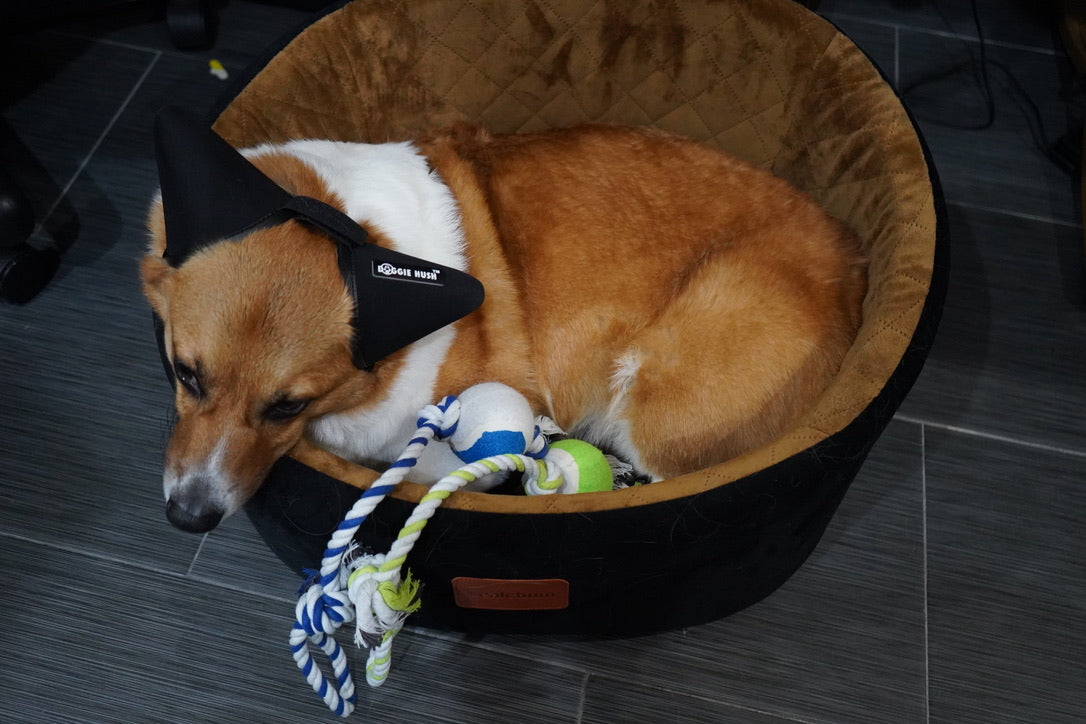 18 IN ROPE TENNIS BALL TOY