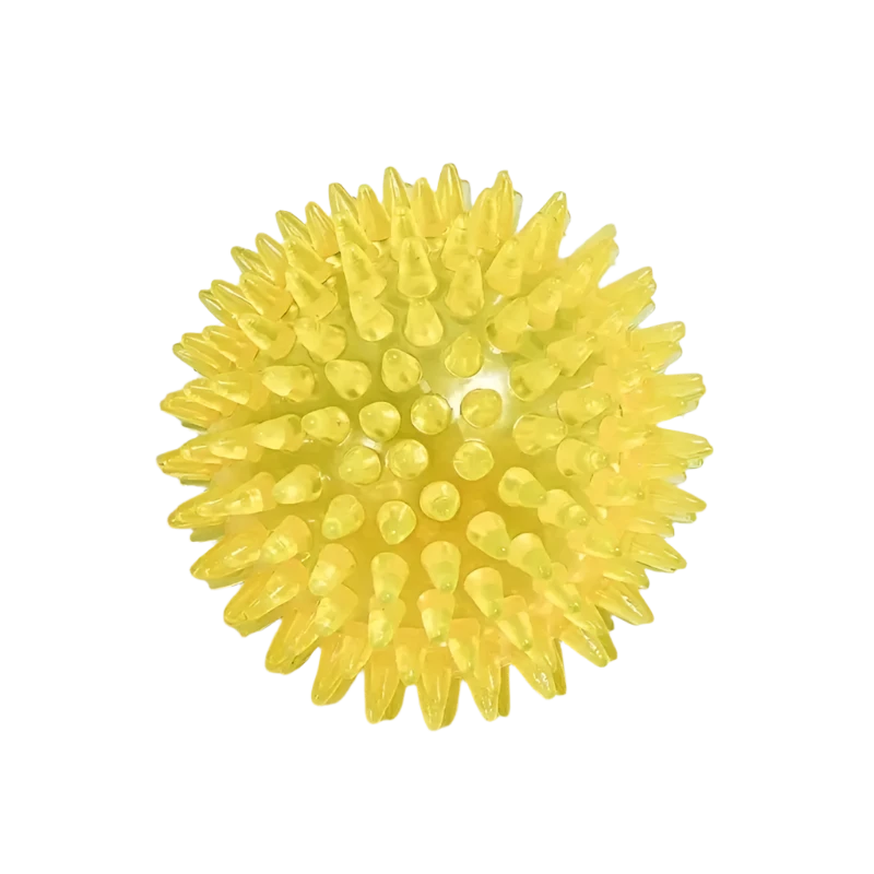 INTERACTIVE DURABLE DOG SQUEAKY BALL