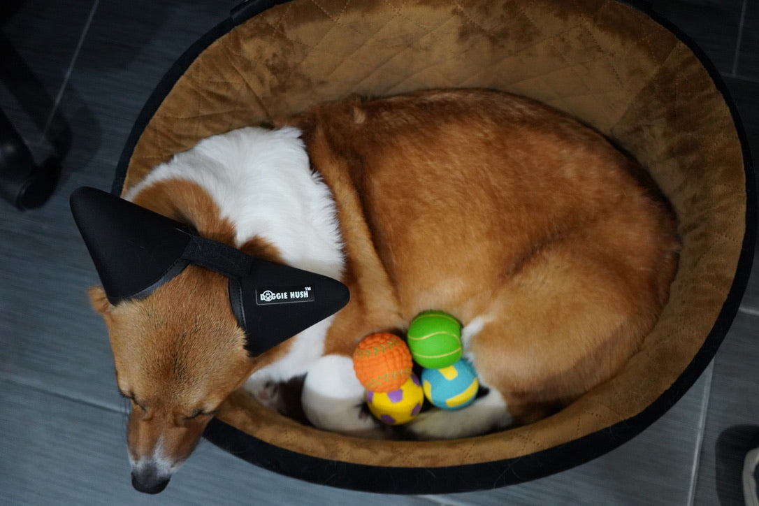 Indestructible Latex Interactive Squeaky Balls High Quality Ball (4PK)