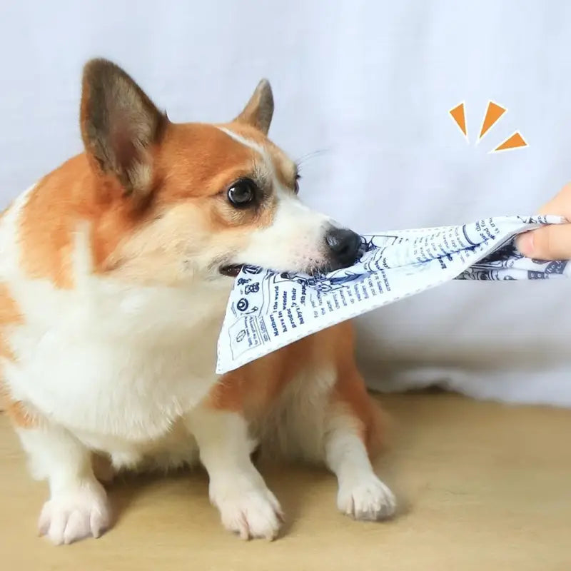 DURABLE CRINKLE PAPER DOG TOY