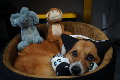 9" Stuffed Animal Pet Dog Chew Toy with Pulling Rope