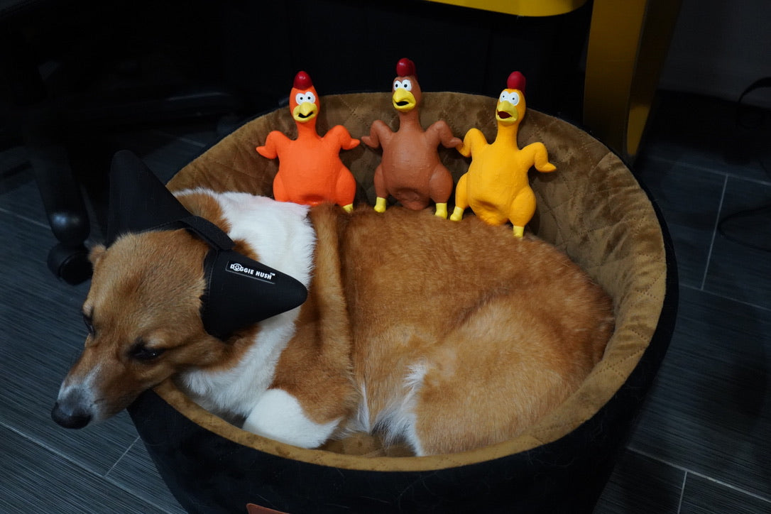 Natural Latex Squeaky Chicken Dog Chew Toy (1PC)