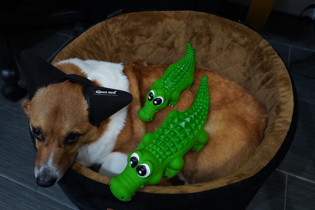 Durable Latex Green Interactive Crocodile Squeaky Dog Toy