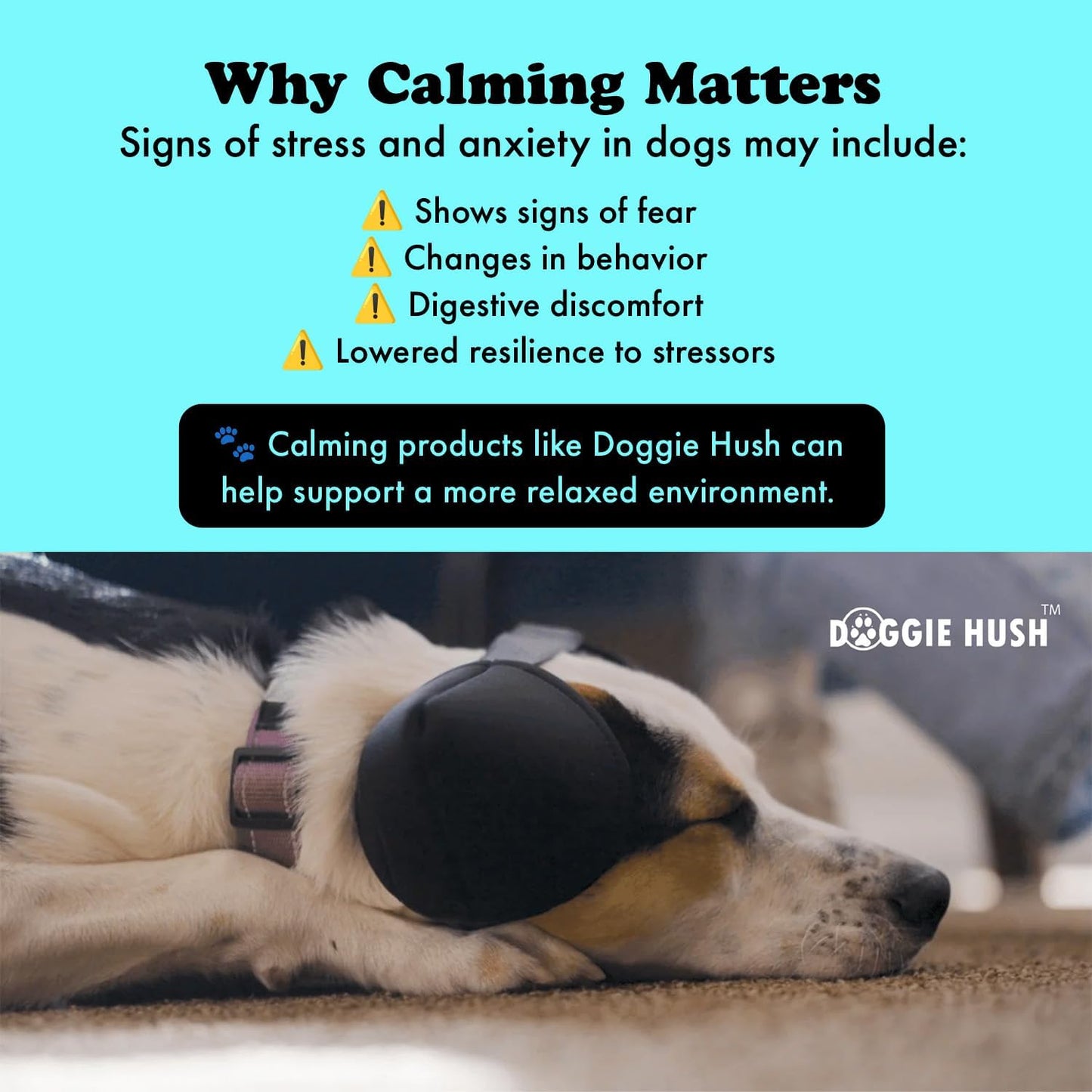 Doggie Hush™ Pro — Professional-Grade Noise-Cancelling Headphones/ Earmuffs for Dogs