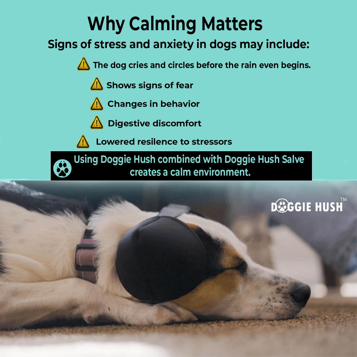 Doggie Hush™ Pro — Professional-Grade Noise-Cancelling Headphones for Dogs