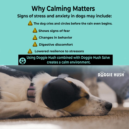 Doggie Hush™ Pro — Professional-Grade Noise-Cancelling Headphones for Dogs (Christmas Sale))